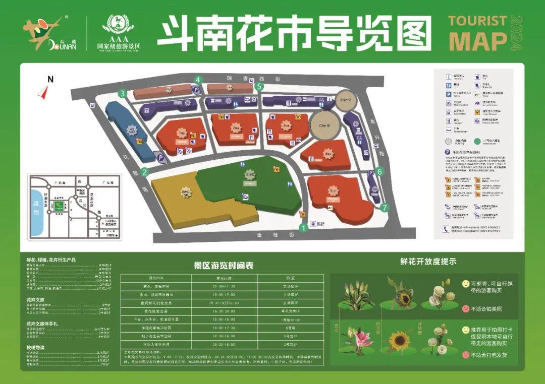 斗南花卉市场批发攻略