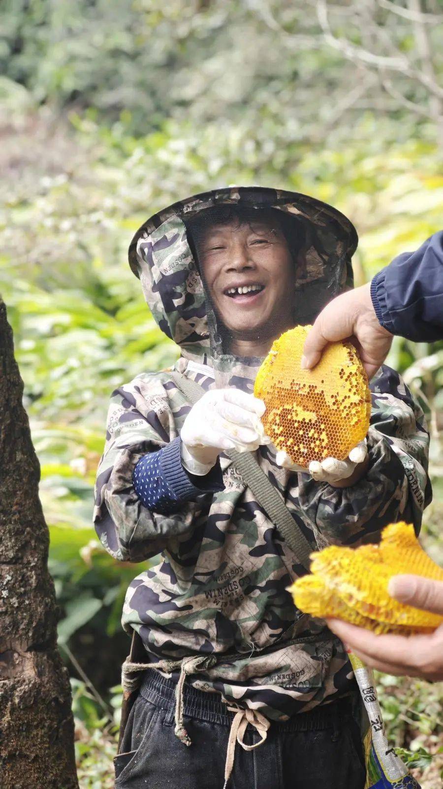探寻大自然的声音：走进林芝蜂蜜的世界