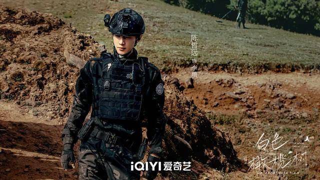 2025年2月网剧前瞻：多种题材齐上阵