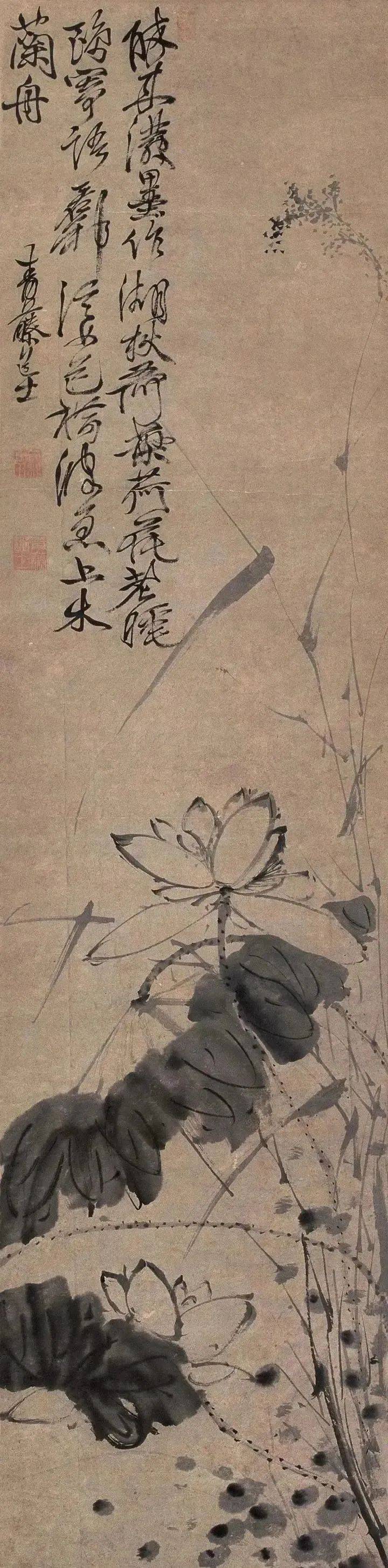 徐渭的水墨荷花那才叫一个狂