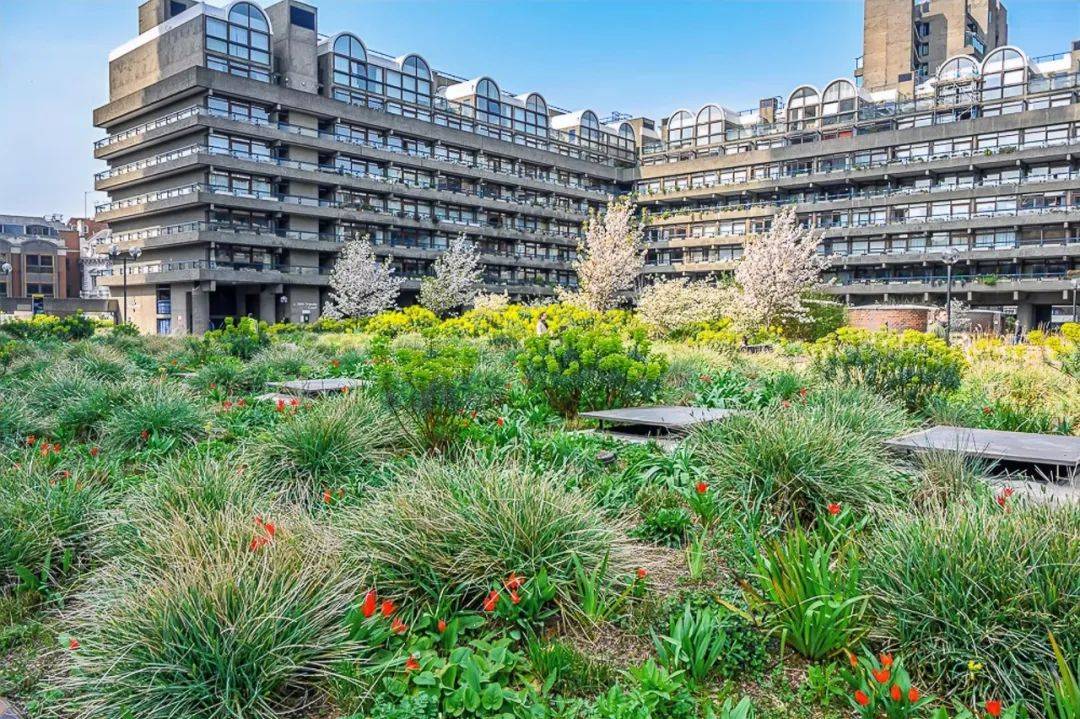 nigel dunnett 的自然主义种植探索