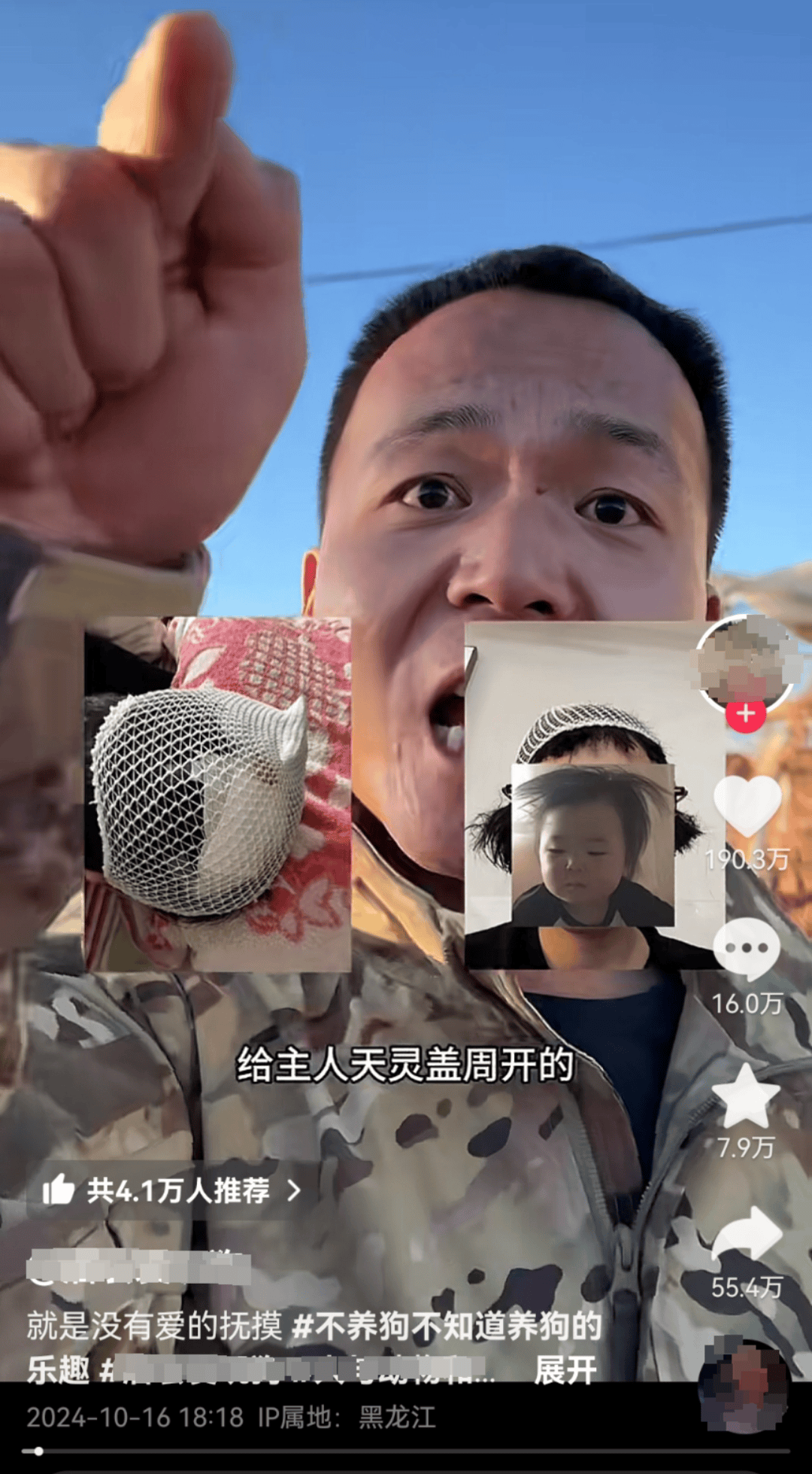 宠物狗送去驯化成网红,主人拿回狗狗被要求签“百万赔偿合同”-是宠网