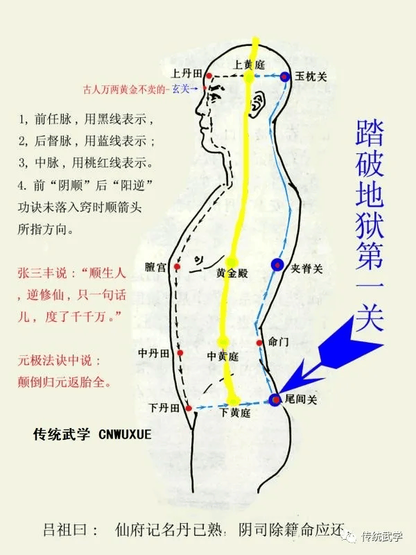 意守丹田、真气运行、丹田生热的锻炼_部位_气功_活动