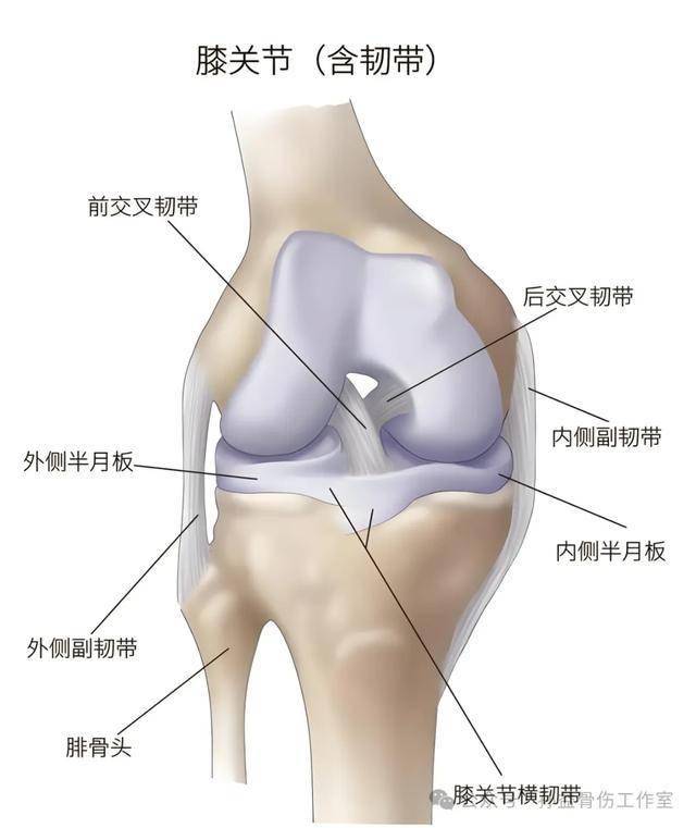 马拉松赛后膝盖废了医生紧急提醒这3件事千万别做