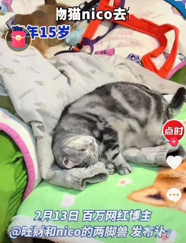 50岁高亮辞世，近期名人网红死亡事件频发