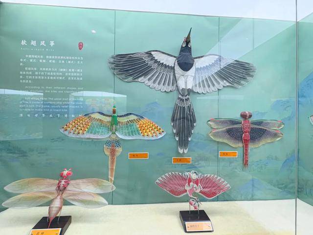 探秘潍坊世界风筝博物馆：一场风筝文化之旅，潍坊世界风筝博物馆全攻略