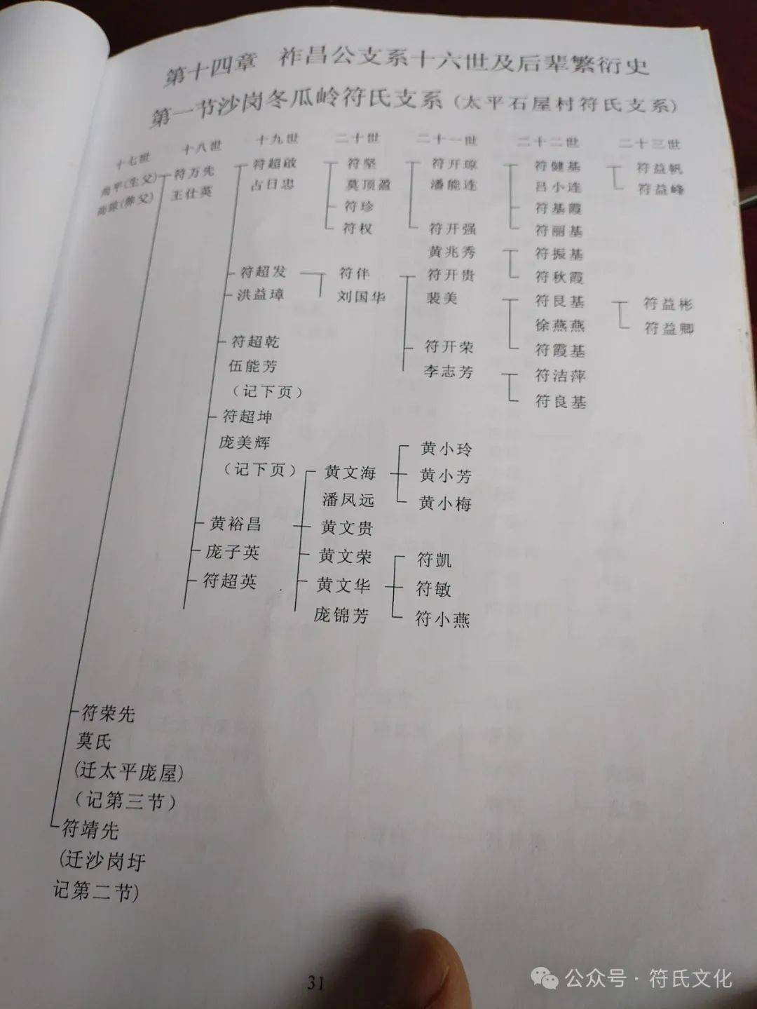 琅琊西湖公世系合浦钦州符氏族谱