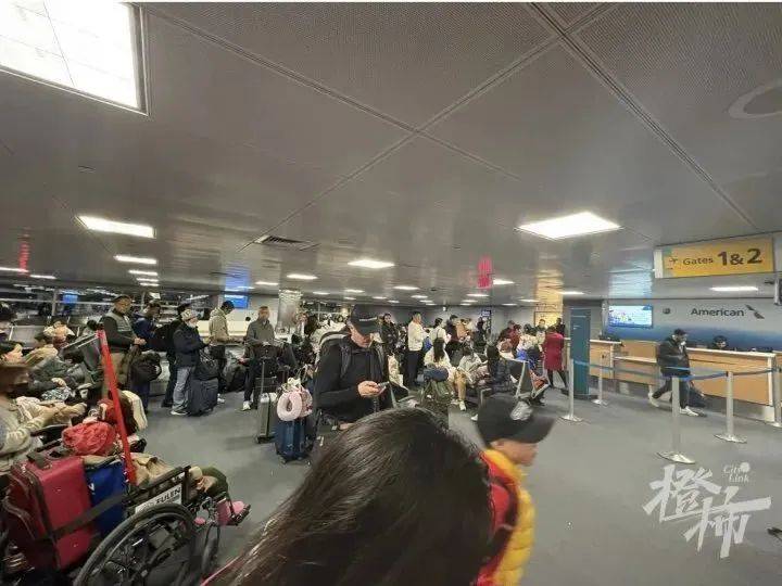 数百中国人因天气滞留南极，游客李女士：后来飞机撞鸟又滞留纽约机场