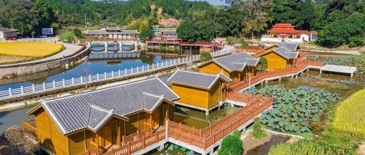 福建乡村振兴精品线路 │ 连城县雾阁村~水源村线_种植_塘前乡_发展