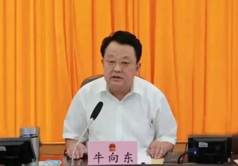 遼寧丹東人大常委會(huì)原副主任牛向東被決定逮捕，曾偽造轉(zhuǎn)移隱匿證據(jù)