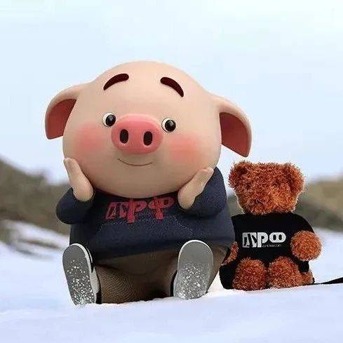 Pig是猪,Head是头,那 你知道Pig-headed是什么意思吗?_you_例句_as