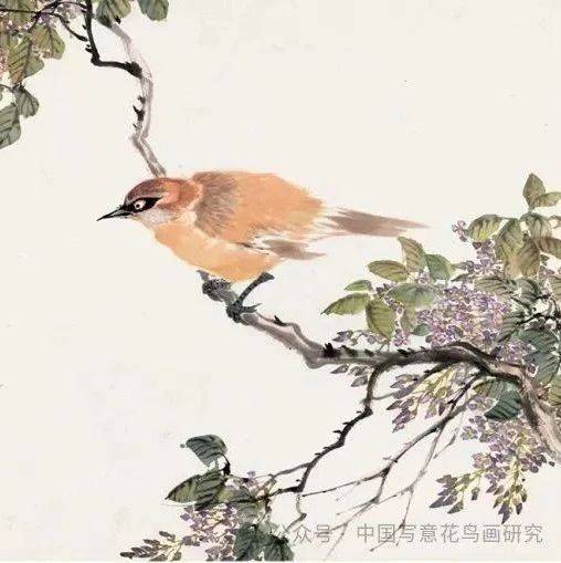 王师子《花鸟草虫写生册》_上海_国画_中国