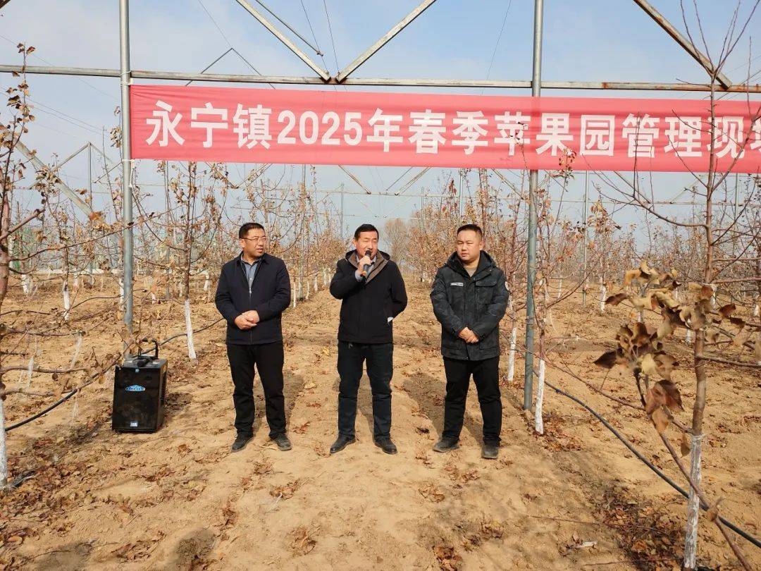 【人勤春来早 奋进正当时】永宁镇召开春季果园管理现场培训会