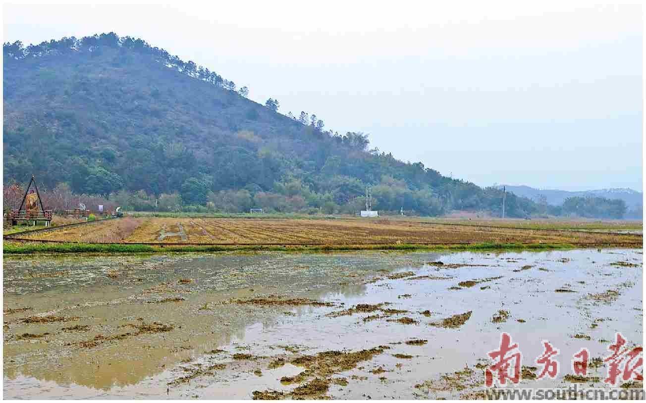 多措并举打好春耕备耕“主动仗”