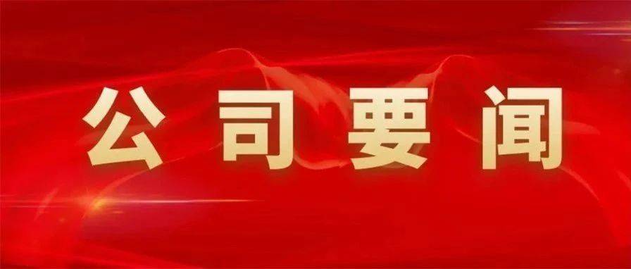 公司召开2025年境内市场经营工作会