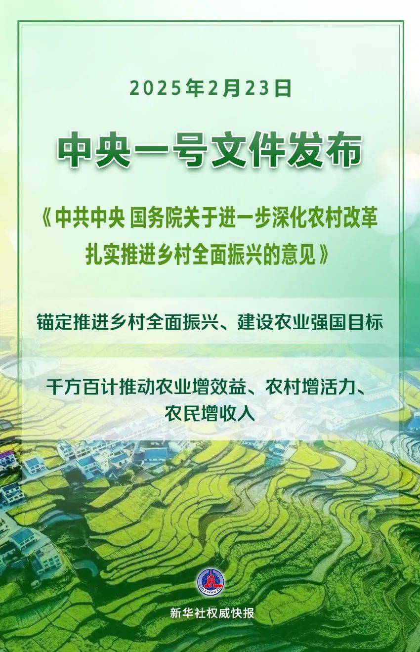 2025年中央一号文件公布(全文+解读)_改革_农村_乡村