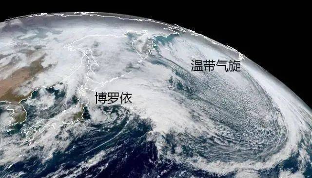 高考地理中的三种气旋_温带_影响_地区