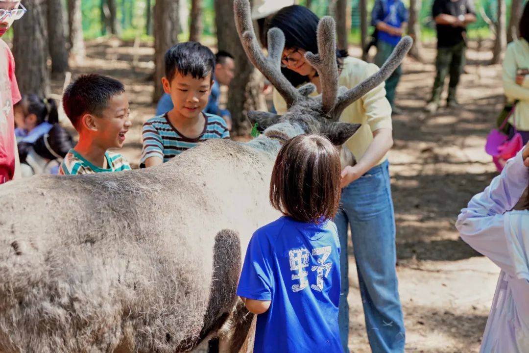 图片[11]-呼伦贝尔，凭什么是中国最美-华闻时空