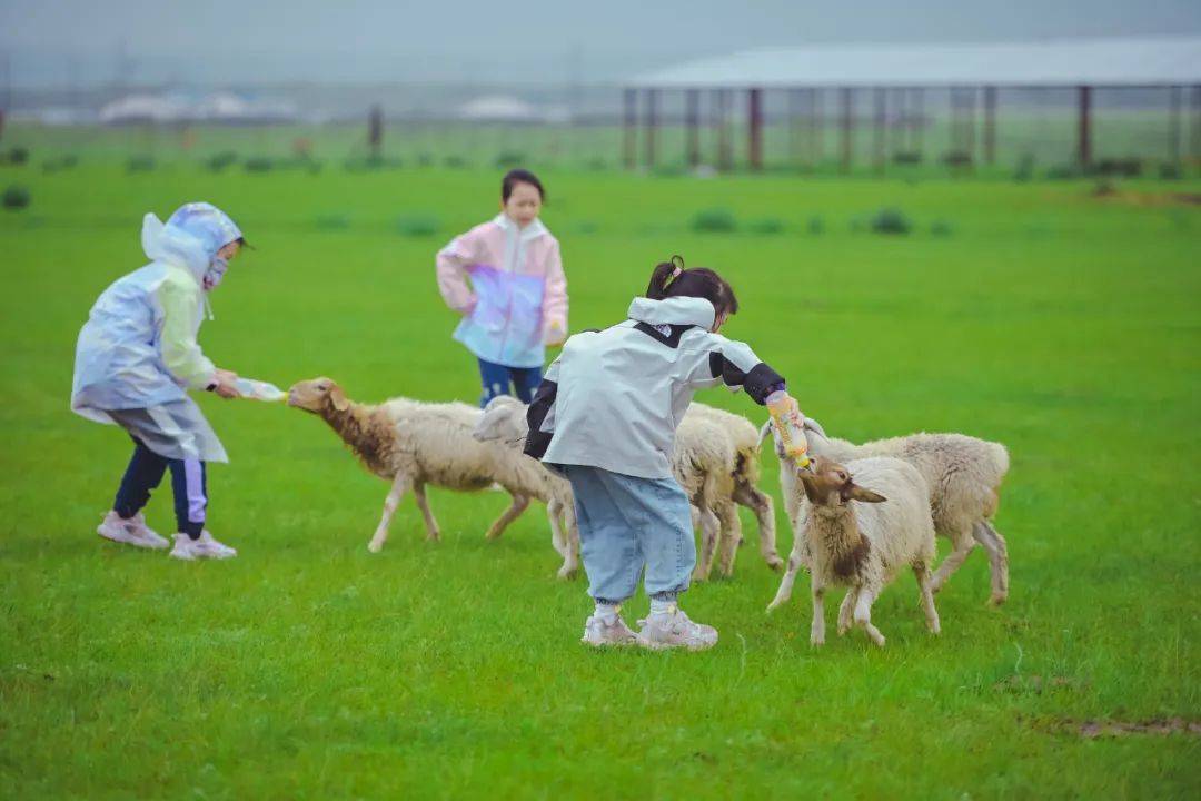 图片[7]-呼伦贝尔，凭什么是中国最美-华闻时空