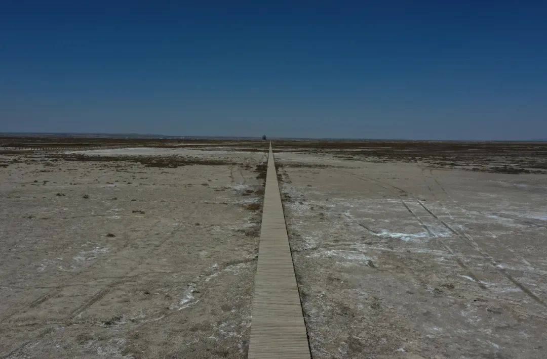 中亚"白风暴"背后的生态之殇