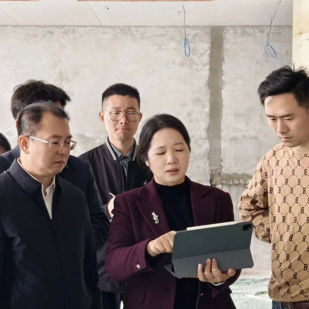 江州区政府主要领导调研文旅项目建设工作_李红兰_文化_保障