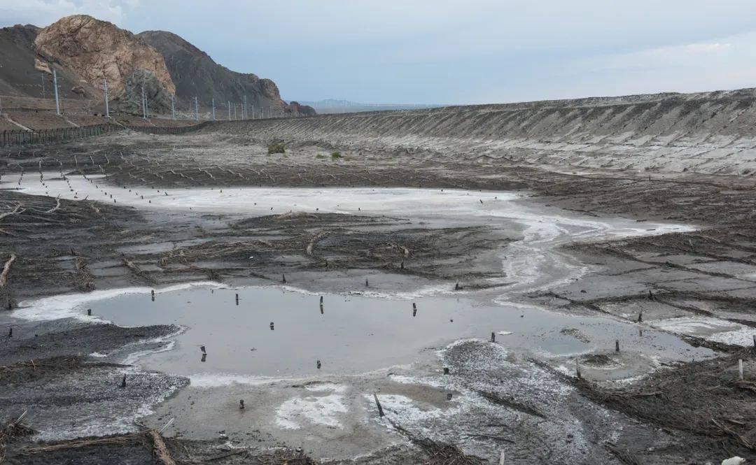中亚"白风暴"背后的生态之殇