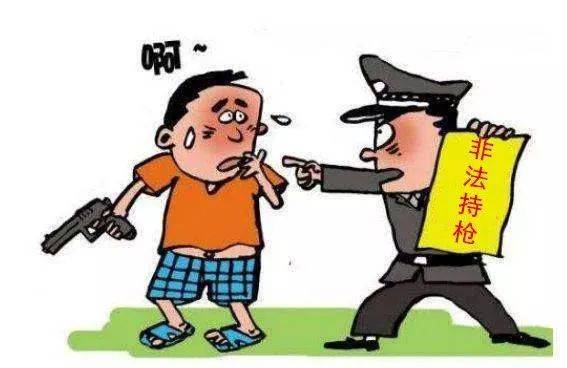 从玩具枪到国赔申请，玩具店主涉枪案背后的权利觉醒与法治追问