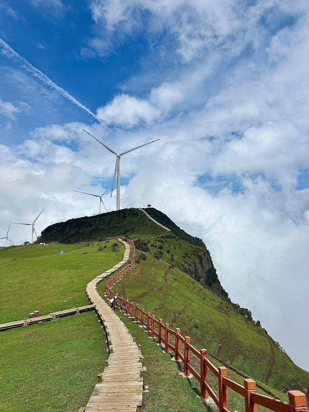 2公里的双螺旋索道穿行在喀斯特石林间360°全景玻璃舱外岩羊在