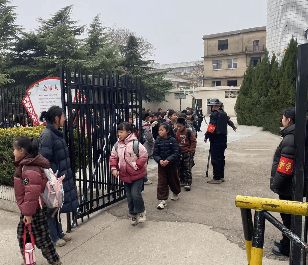 校园动态!王寨镇王寨中学,石林乡中心学校,龙城镇丁山小学
