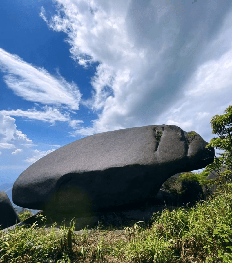 这里的山峰险峻,悬崖峭壁众多,怪石嶙峋,有着许多形状奇特的岩石,构成
