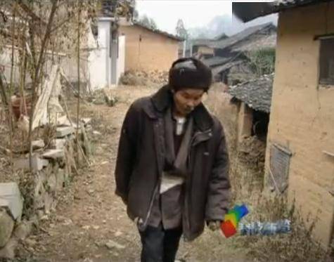 猪的寿命是多少年？如果一辈子不杀猪能长多大？浙江猪王就是答案（猪的寿命最多有几年）