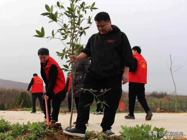 南阳市内乡县岞曲镇组织开展义务植树活动(图2)