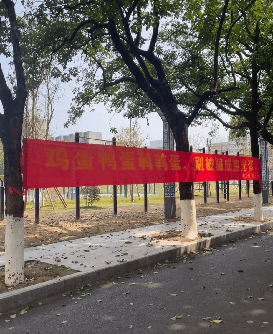 "广东一高校反诈横幅火了!