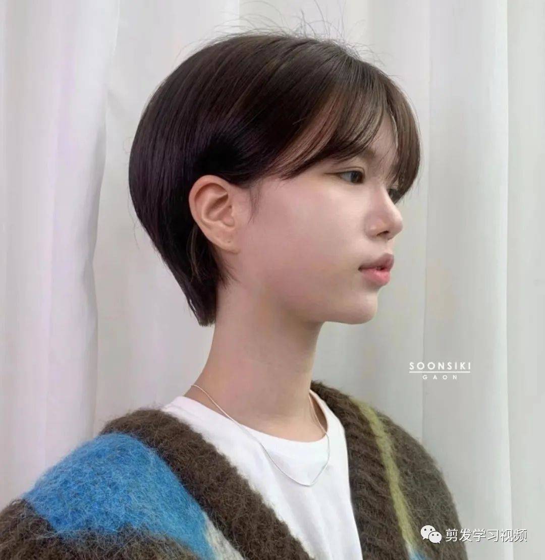 发型_中国_人类