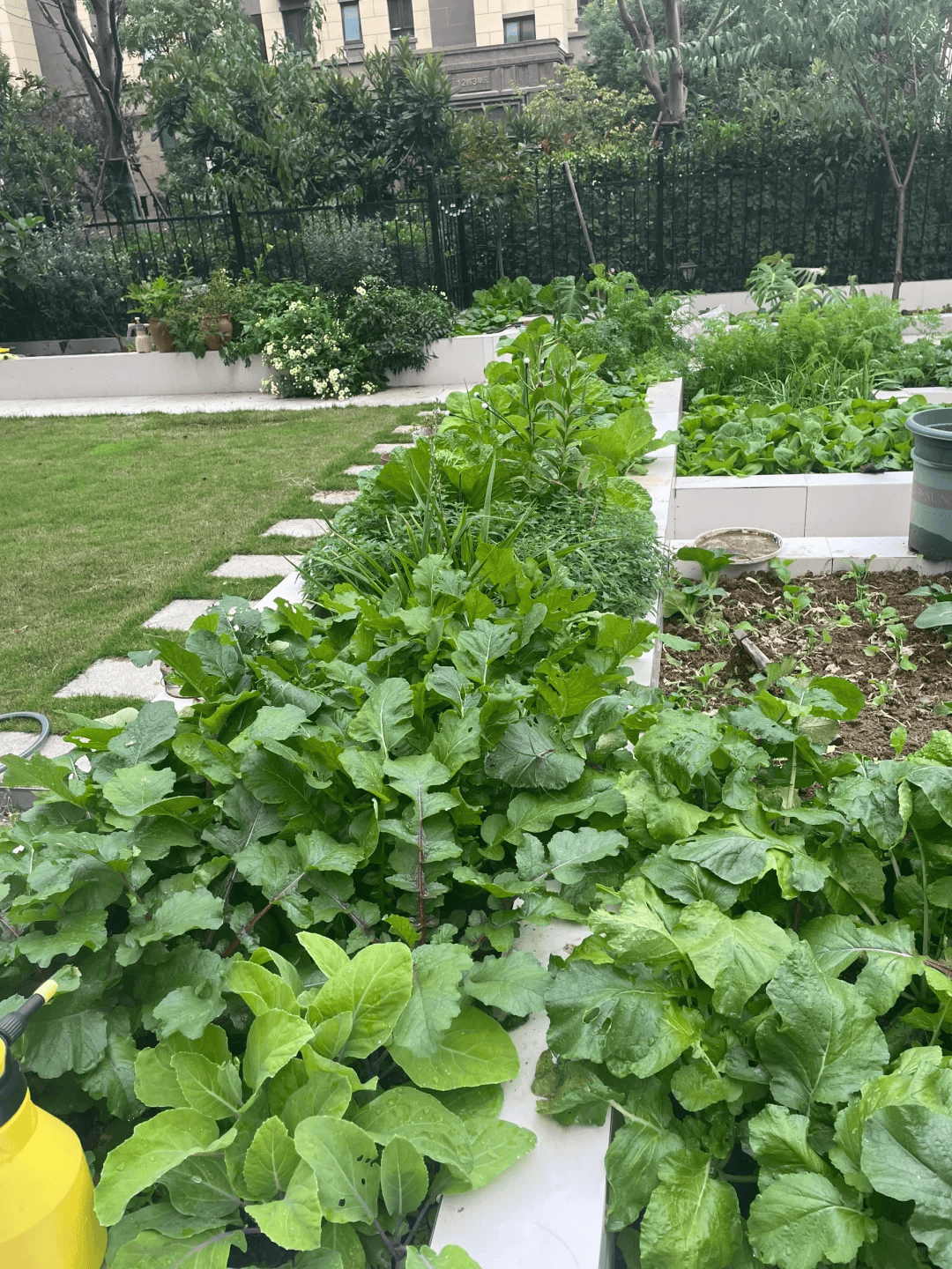 植物_种植_设计的