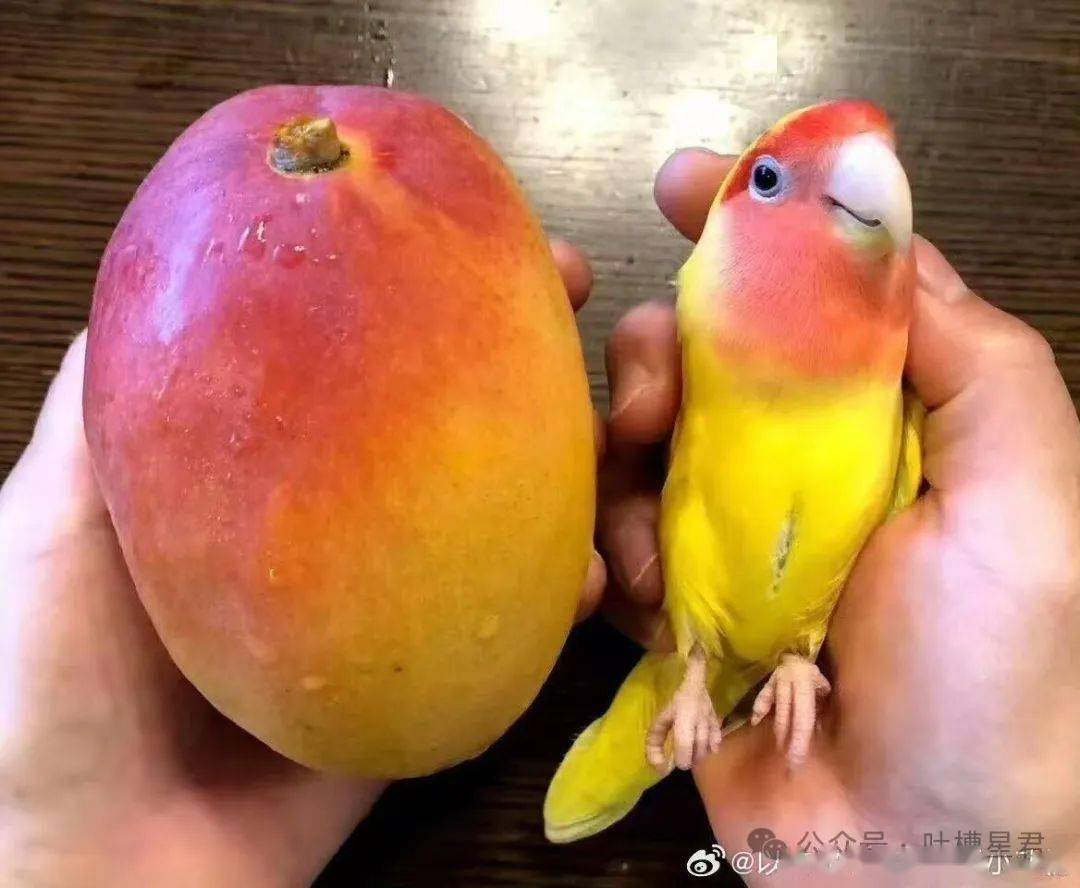 生活趣事大集合，哪张图能戳中你笑点？，高干文看多竟有这种感受？这些趣事别错过