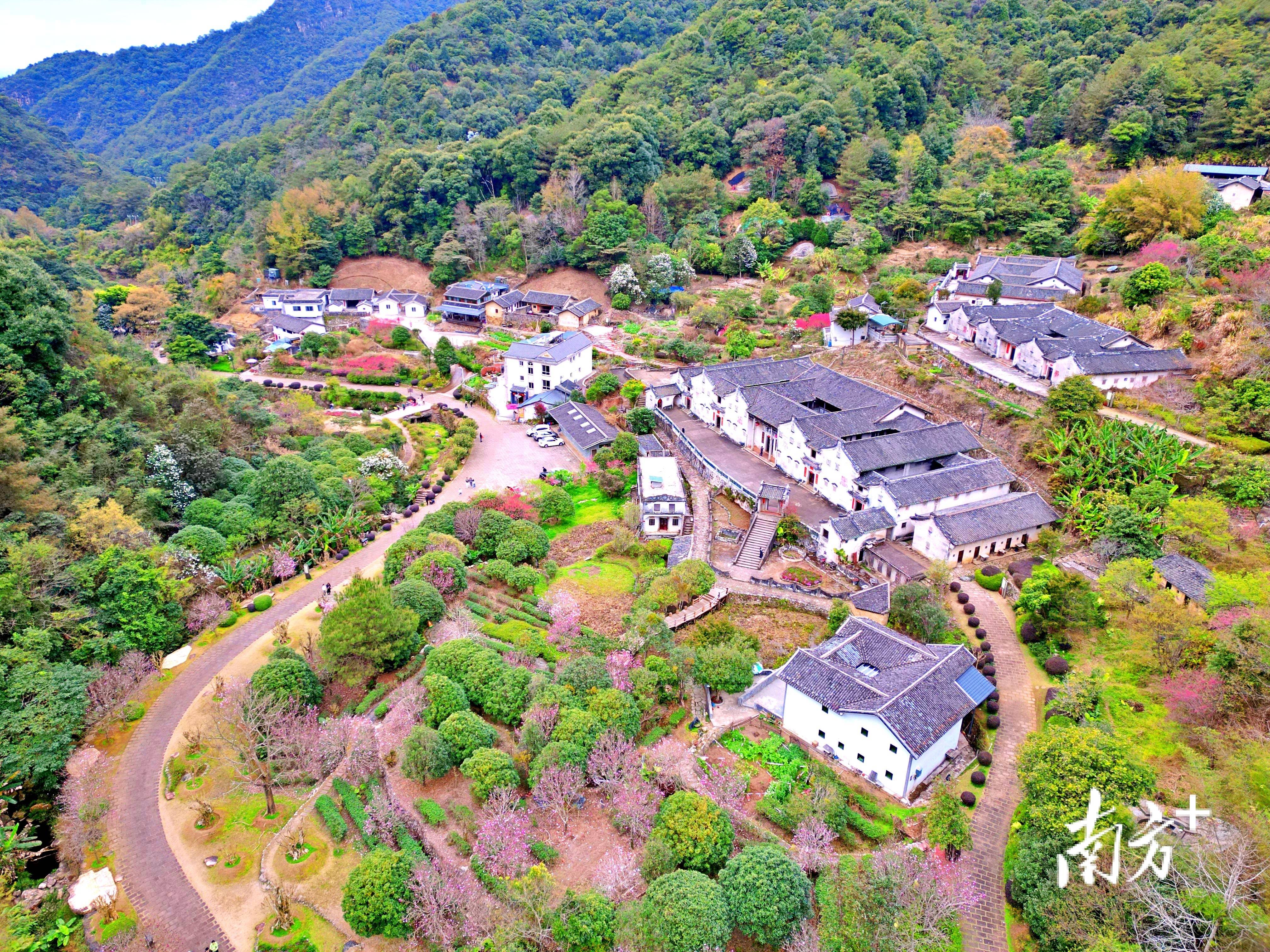 图集|桥溪山水秀 古村春意浓_溪村_廖利萍_民居