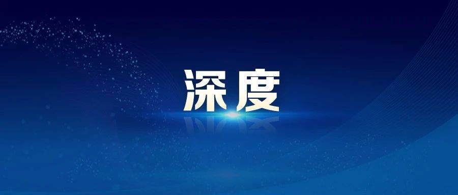 【深度】监管部门重拳打击财务造假，审计机构却在“装聋作哑”？