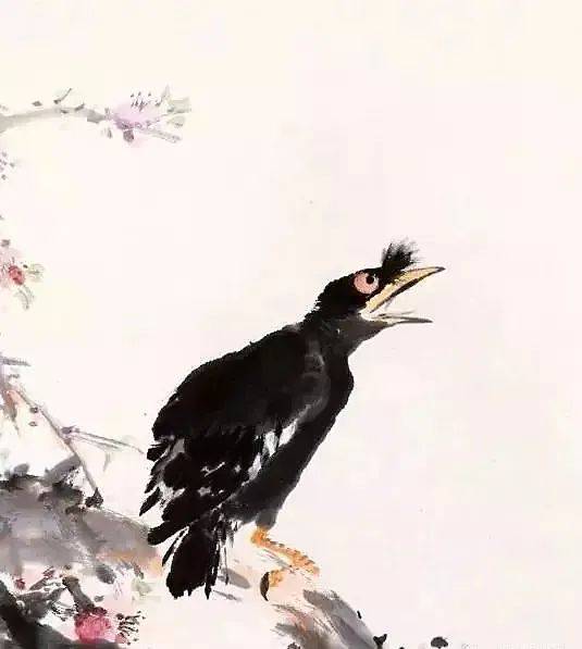 王雪涛画的八哥不是鸟，是穿着黑缎子马褂的老艺术家！