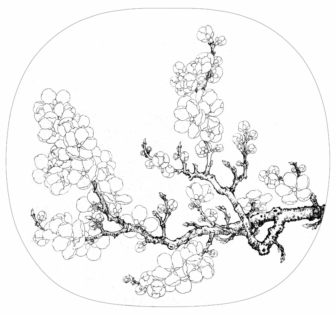 一起学画一幅《杏花图》吧!
