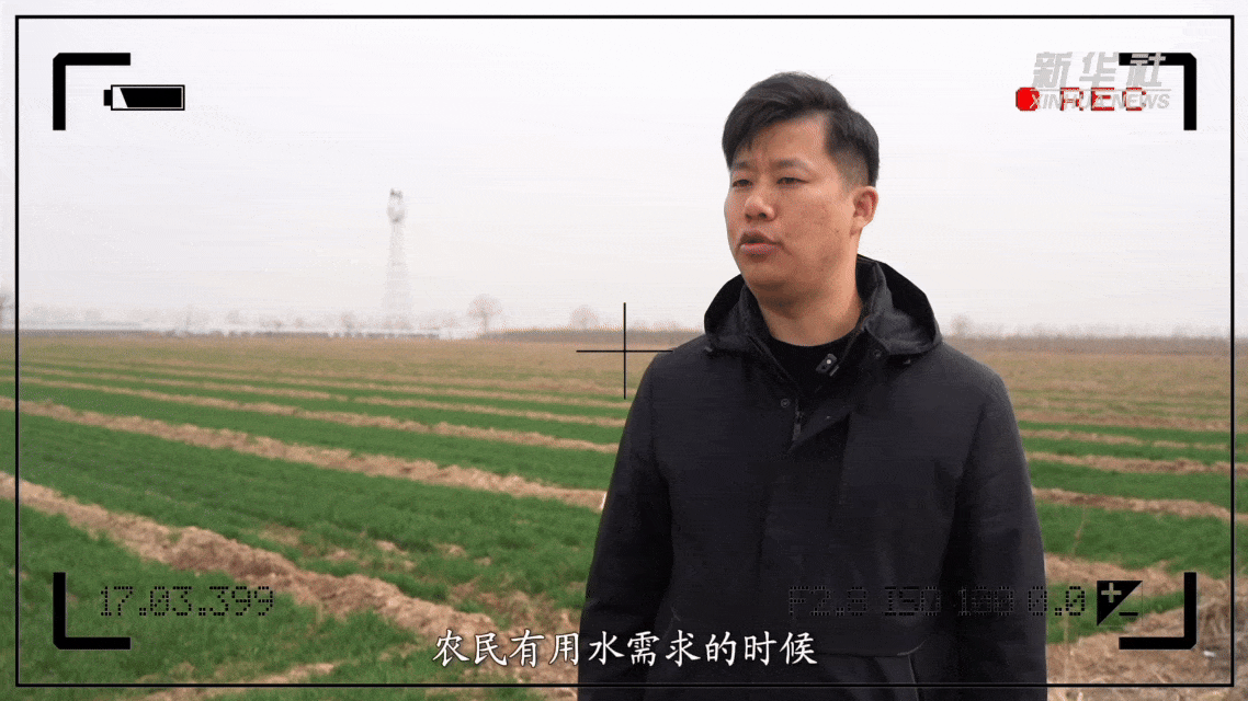 春耕时节华北冬小麦“解渴”，灌区供水助力丰收