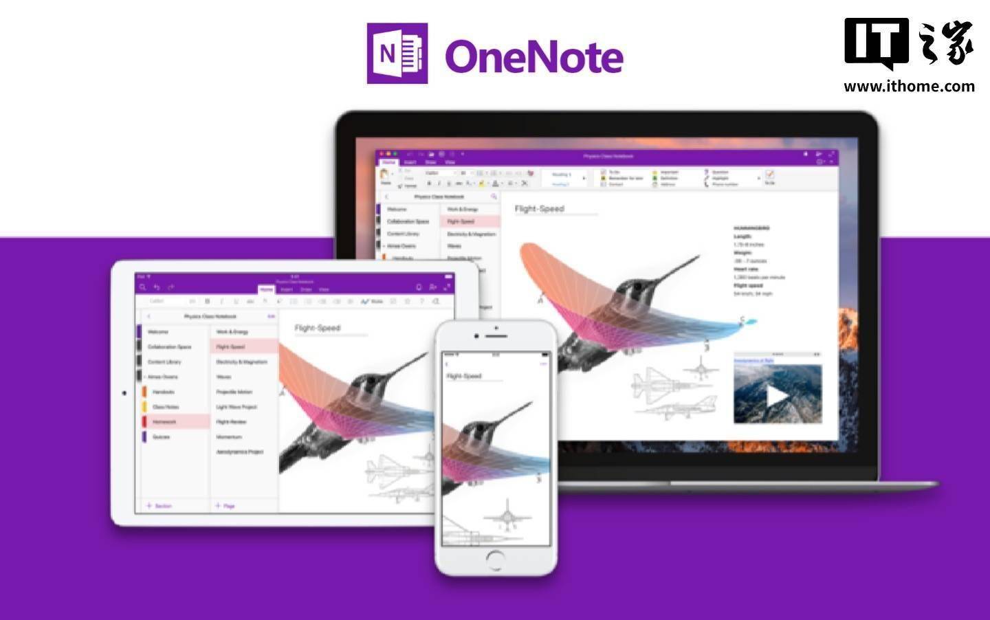 半年后停服，OneNote for Windows 10 用户该何去何从？，微软 OneNote 战略调整：Windows 10 版落幕，M365 版崛起！