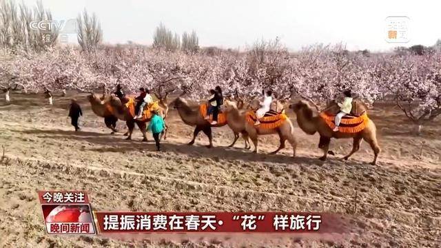 赏花地图一键送达！带你开启“花”样旅行