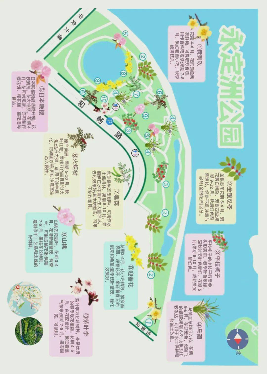 一个公园一张图!生态城赏花地图"上新"