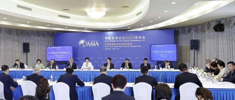 华商领袖与华人智库圆桌会议在海南博鳌召开_中国_现代化_发展