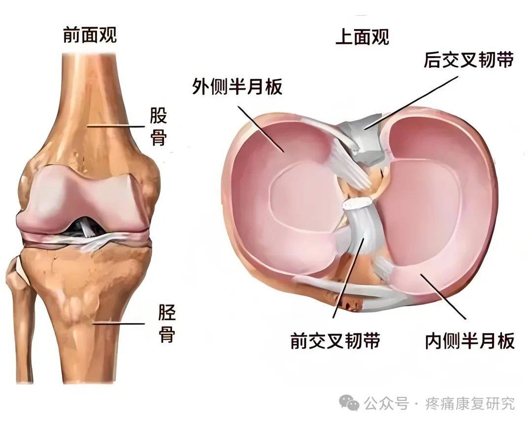 膝关节"咔咔响"?出现这些症状一定要重视