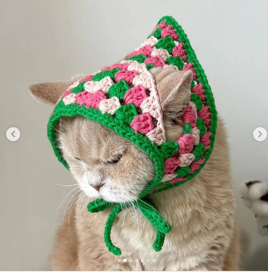 超简单祖母格猫咪头巾 可爱可爱看到就想钩起来 管她爱不爱
