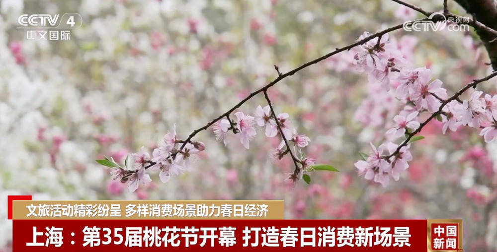 春日活力满格！多地借特色活动激发消费与经济新动力