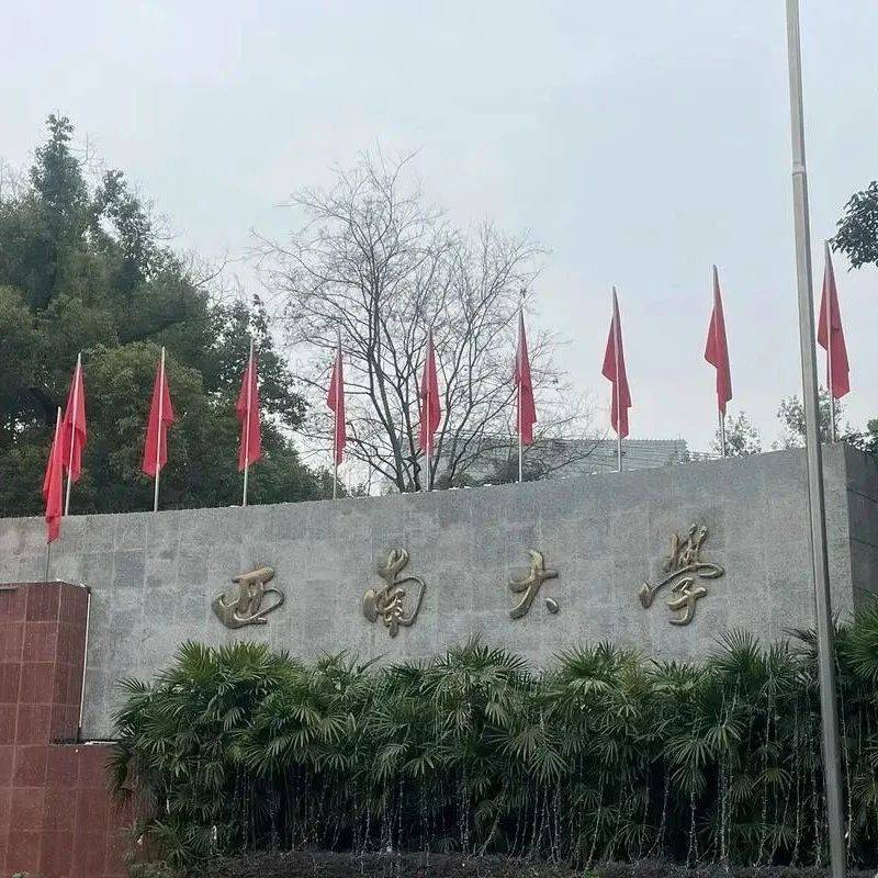 26考研|西南大学法学/法硕考研情况分析_授权点_考试_复试