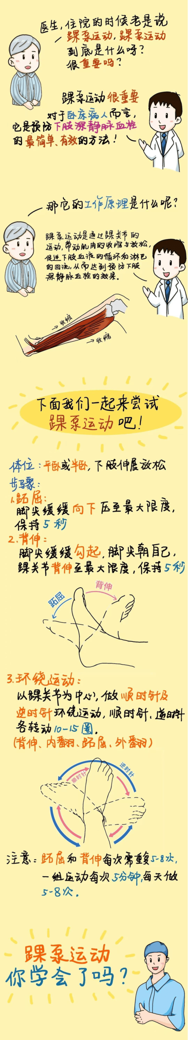 小运动,动全身:踝泵运动知多少